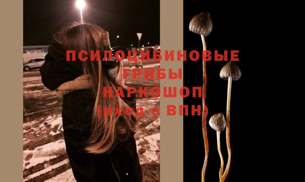 ПСИЛОЦИБИНОВЫЕ ГРИБЫ Балабаново