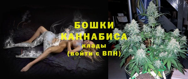ПСИЛОЦИБИНОВЫЕ ГРИБЫ Балабаново