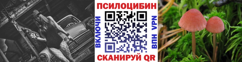 Псилоцибиновые грибы Psilocybine cubensis  Пудож 